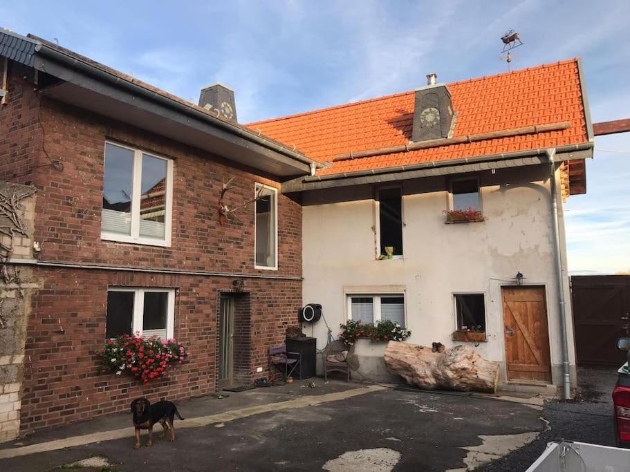 Ferienwohnung Felinenhof Weilerswist Esterno foto